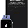 How To Unlock Used Apple Watch 13