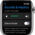How To Turn On Vibrate Mode On Apple Watch 13
