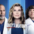 Where to Watch 'Grey's Anatomy' Season 18 11