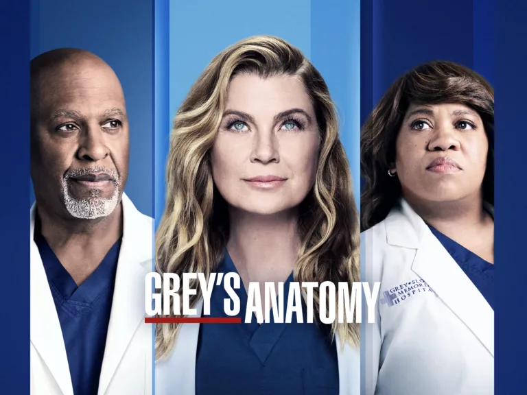 Where to Watch 'Grey's Anatomy' Season 18 13