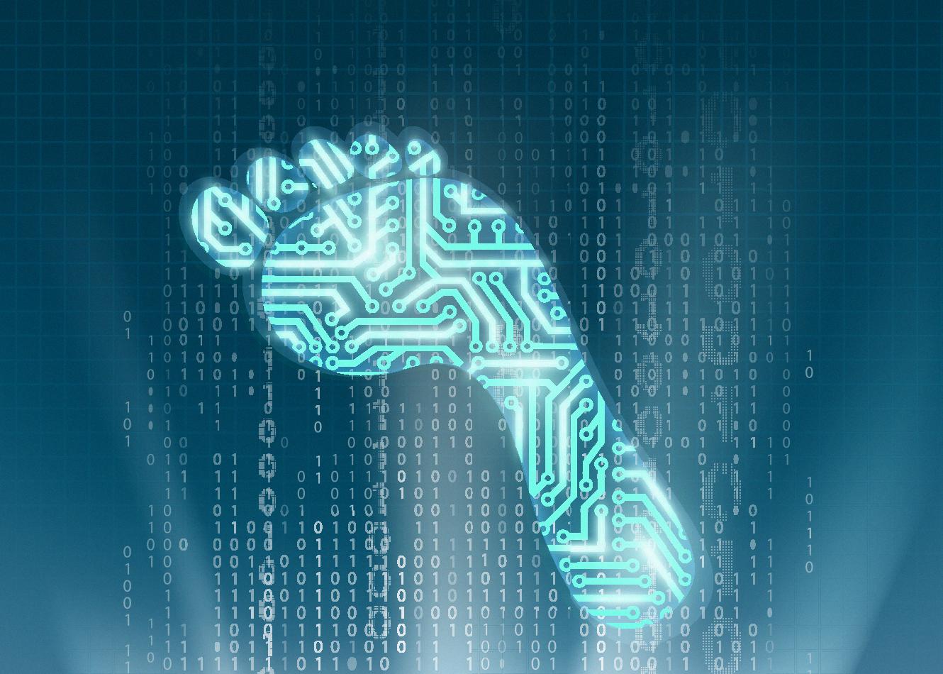 digital risk protection