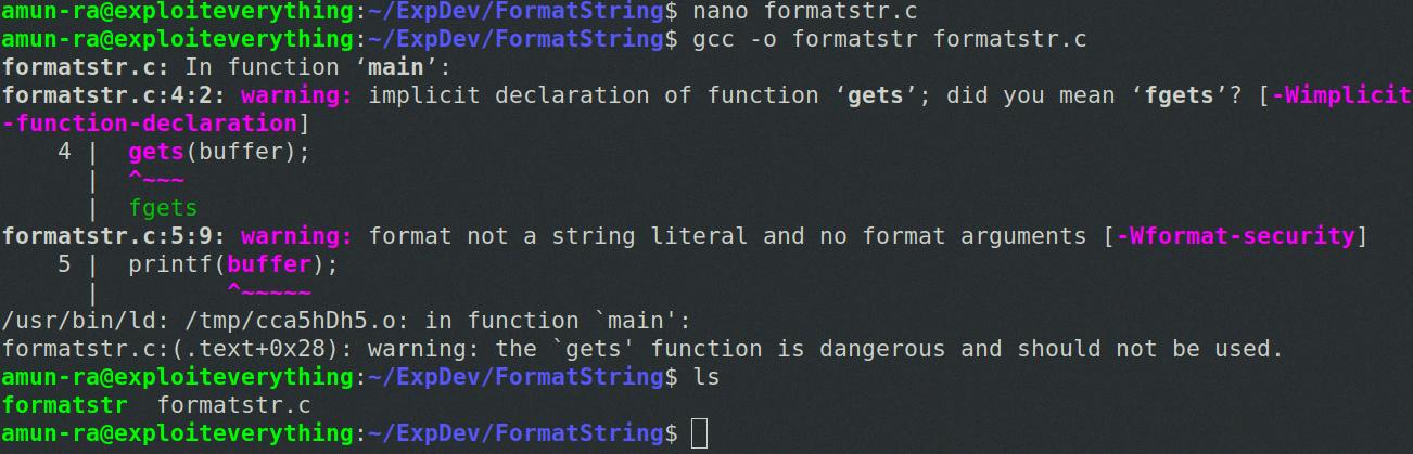format string vulnerability