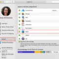 How To Turn Off Safari Syncing With iCloud 17