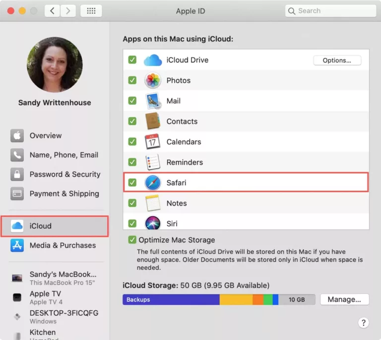 How To Turn Off Safari Syncing With iCloud 11