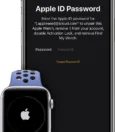 How To Unlock Your Apple Watch Without iCloud Password 7