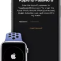 How To Unlock Your Apple Watch Without iCloud Password 7