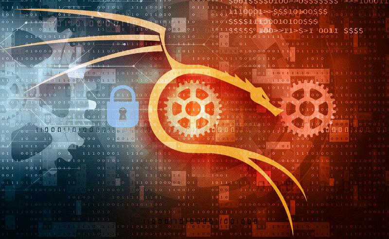 kali linux vpn