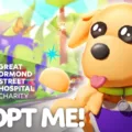 A Definitive Guide to Values of Pets in Adopt Me 15