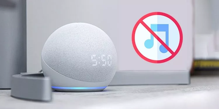 Why Alexa Might Not Play Music and How to Fix Them? 13
