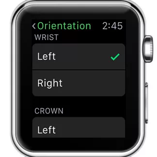 How to Switch Your Apple Watch to Your Right-Hand? 9