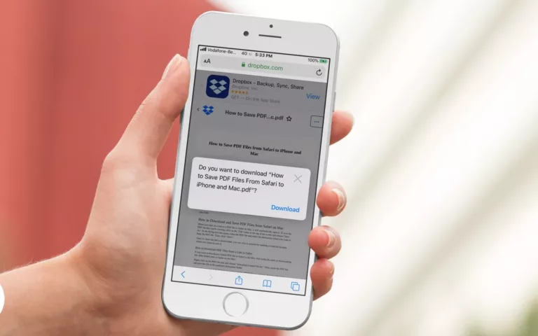 How To Download PDF Files in Safari? 1