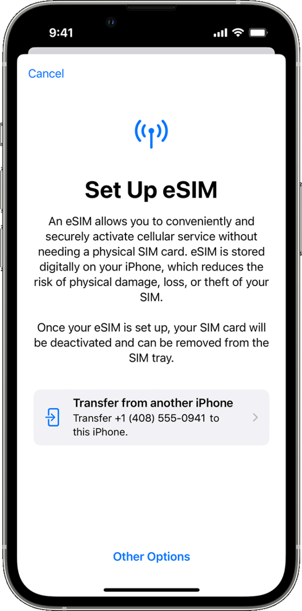 How to Set Up Esim On Your iPhone 11 2 How to Set Up Esim On Your iPhone 11 1