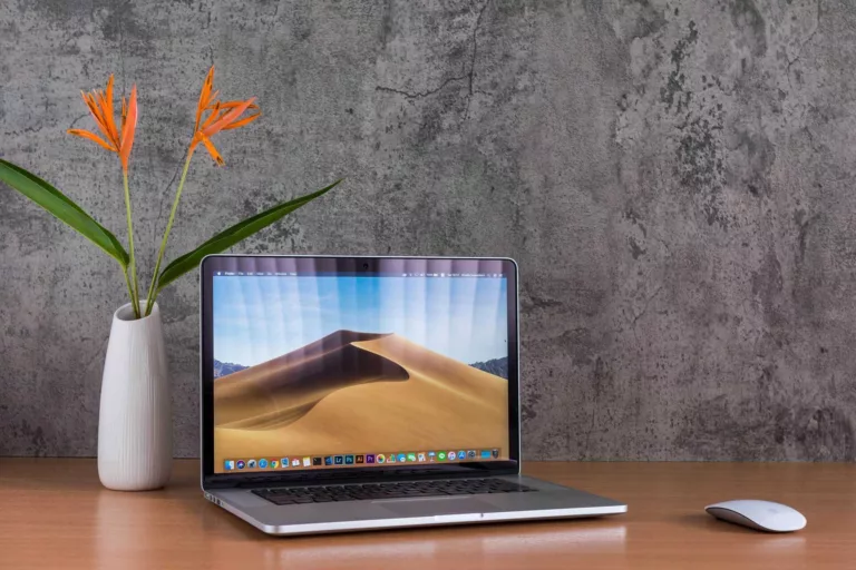 How to Fix Horizontal Lines on Your MacBook Screen? 17
