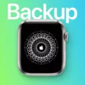 How to Manually Backup Your Apple Watch? 15