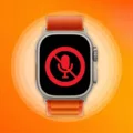 How to Fix Microphone Not Working on Your Apple Watch 3? 13