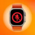 How to Use a Microphone on Your Apple Watch? 19