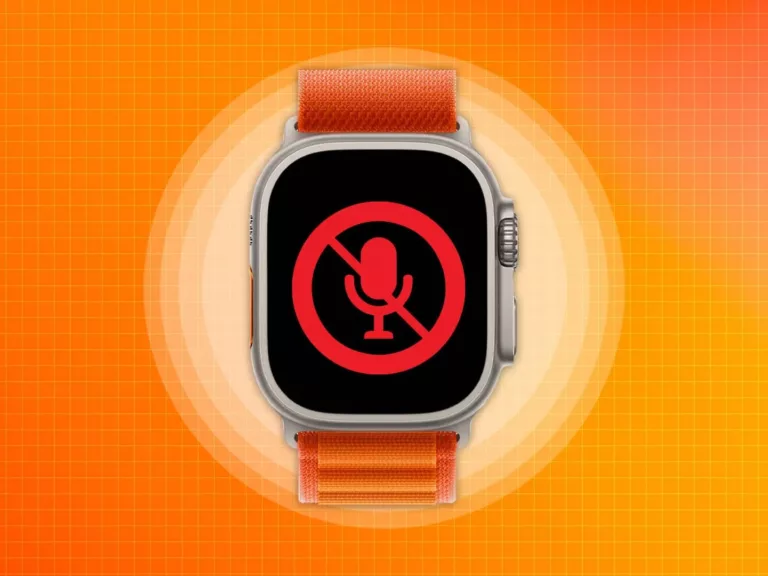 How to Fix Microphone Not Working on Your Apple Watch 3? 15