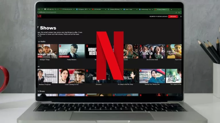 How to Watch Netflix on Your Mac M1? 17
