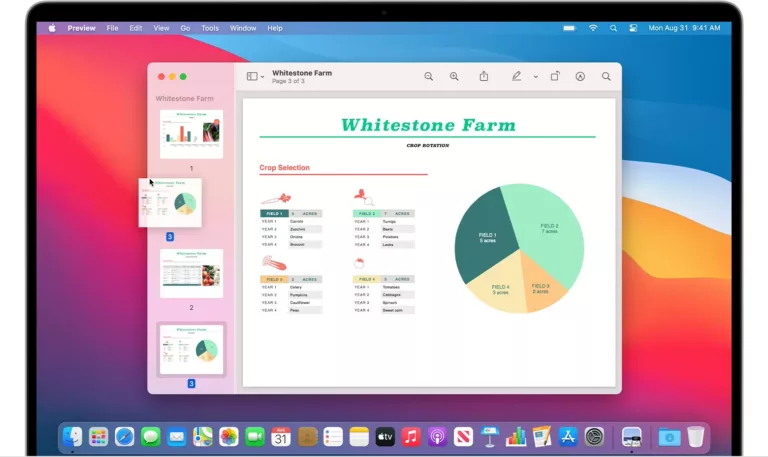 Where To Find and Use Preview App On Mac? 19