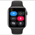 What Does The Red Phone Icon Mean On Apple Watch? 3