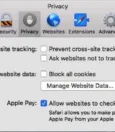 How to Remove Website Data on Safari? 13