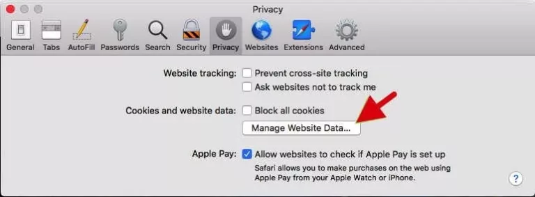 How to Remove Website Data on Safari? 5
