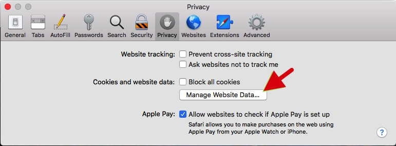 remove all website data safari what does it do