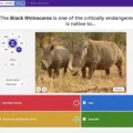 How to Play and Learn with Safari Kahoot? 7