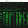 How to Reset Shell on Your Mac? 15