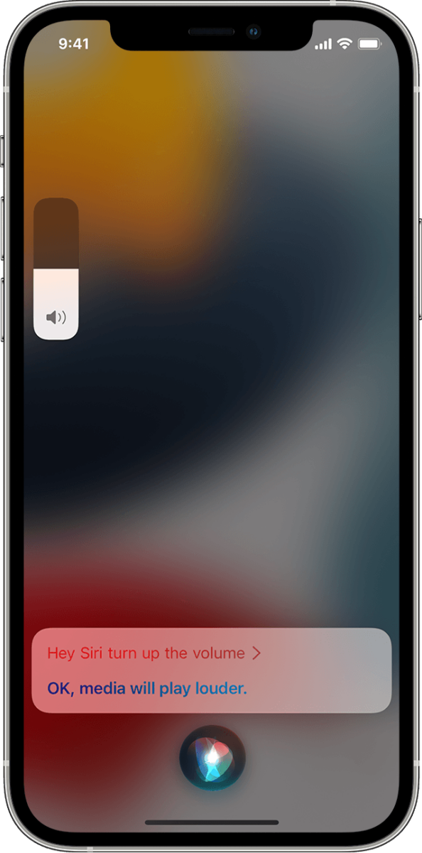 How to Fix Siri Volume Issues? 2 How to Fix Siri Volume Issues? 1