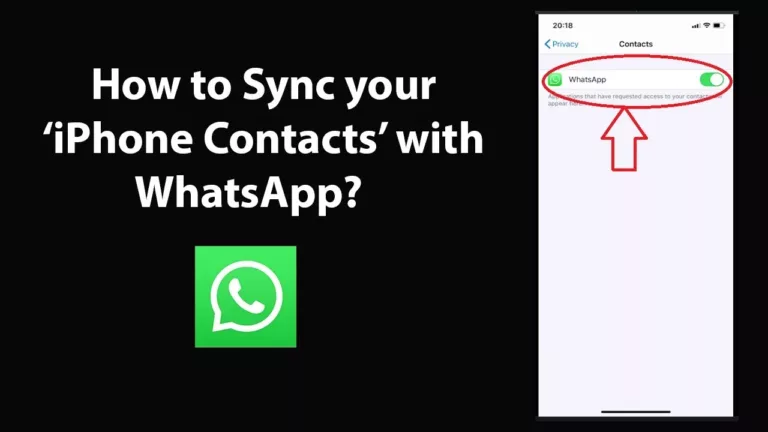 How to Easily Sync Your iPhone Contacts with WhatsApp? 29