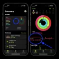 How to Track Burned Calories with Your iPhone? 14