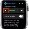 How to Quickly Turn Off Volume on Your Apple Watch? 7
