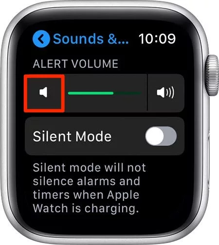 How to Quickly Turn Off Volume on Your Apple Watch? 7