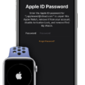 How to Sign in to iCloud on Your Apple Watch? 17