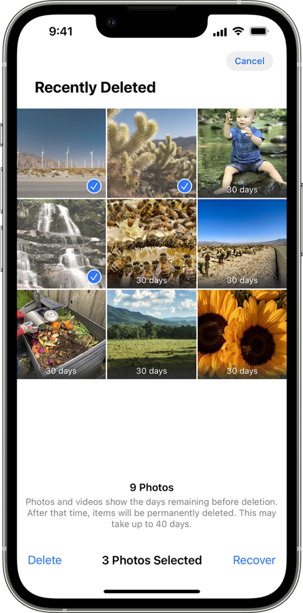 What to Do When Your iPhone's Recently Deleted Photos Won't Show 2 What to Do When Your iPhone's Recently Deleted Photos Won't Show 1