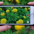 A Guide to iPhone Video Size Pixels 15
