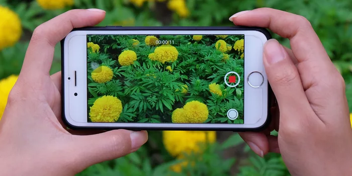 A Guide to iPhone Video Size Pixels 15