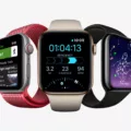 How to Track Your Paddle Boarding with Apple Watch? 17