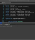 How to Run Visual Studio Code from Command Line on Mac? 13