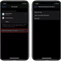 How to Delete Downloaded Files in Safari? 9