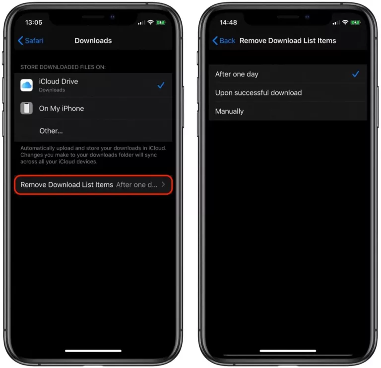 How to Delete Downloaded Files in Safari? 19