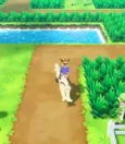 How To Get Into The Safari Zone In Let’s Go Pikachu? 13