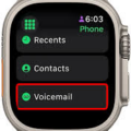 How To Set Up Voicemail On Apple Watch 17