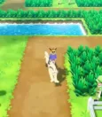 How To Get To The Safari Zone In Pokemon Let’s Go Pikachu? 9