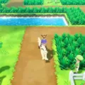 How To Get To The Safari Zone In Pokemon Let’s Go Pikachu? 13