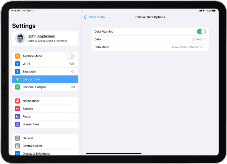 Do I Need Cellular on My iPad? 1