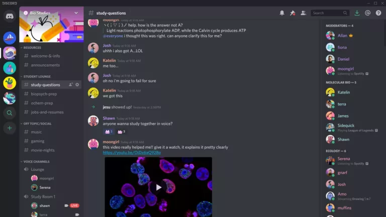 What Happens When Your Discord Account is Disabled? 11