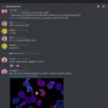 How to Get Someone's Discord ID? 7