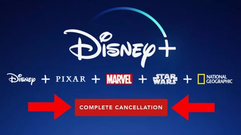 How to Cancel Disney Plus Subscription? 11